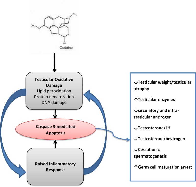 Fig 12