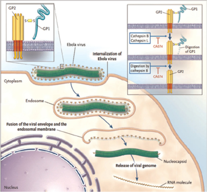 Figure 7