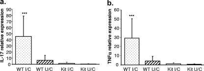 FIG. 5.