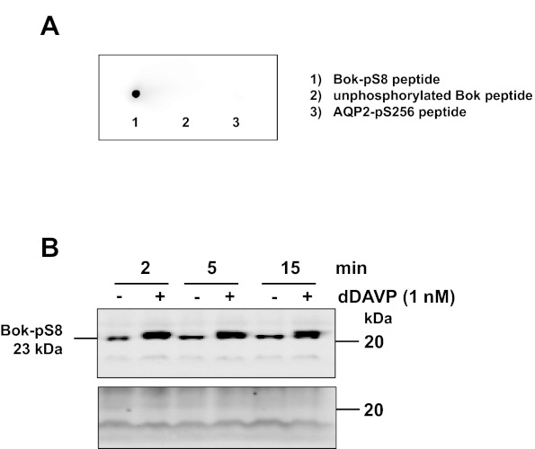 Fig. A1.