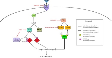 Fig. 10.