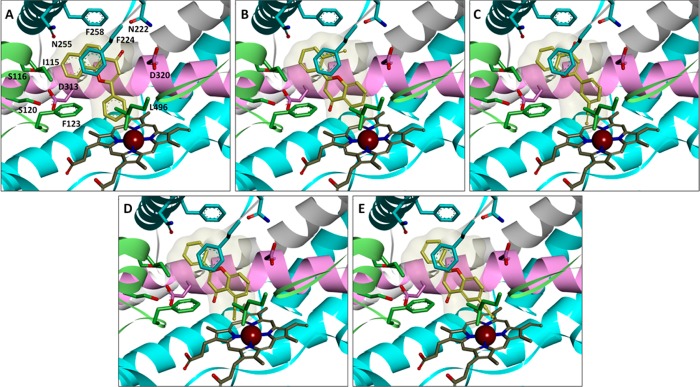 Figure 4