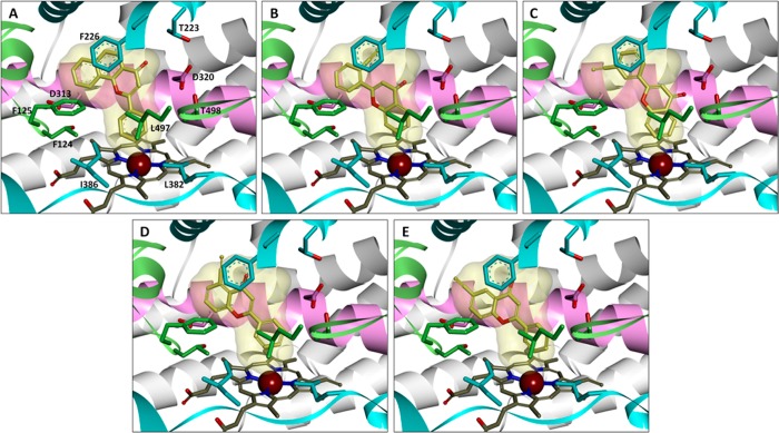 Figure 5