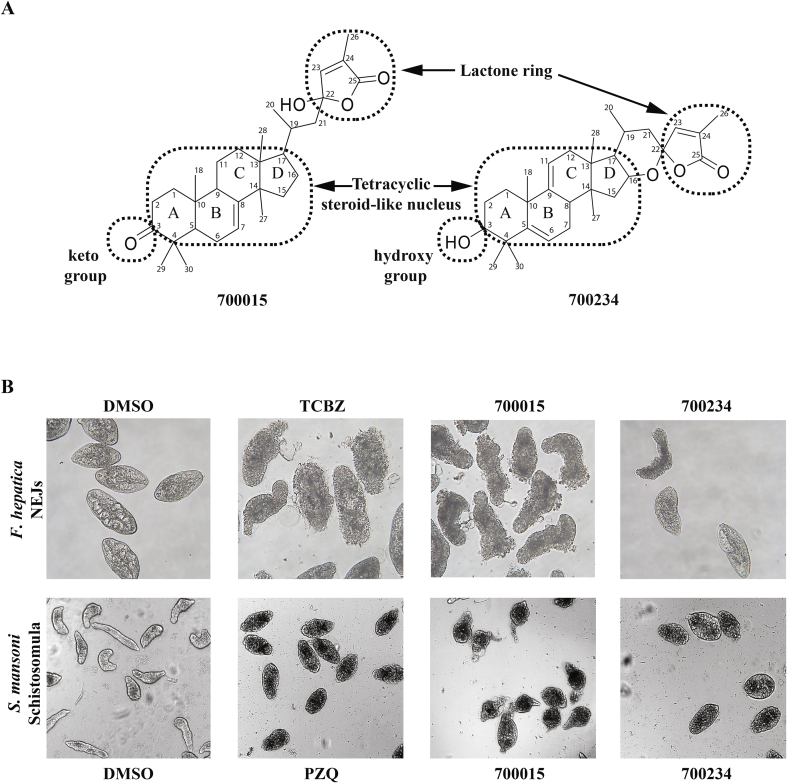 Fig. 3