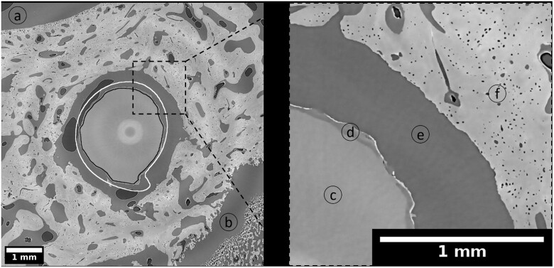 Figure 7.