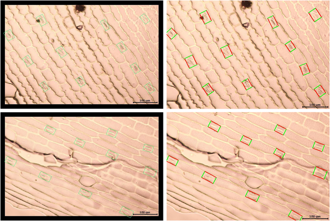 Fig. 8.