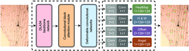 Fig. 6.