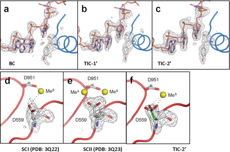 FIGURE 3.