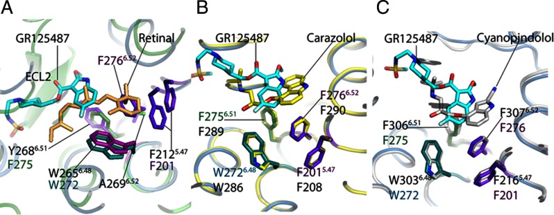 Fig. 3.