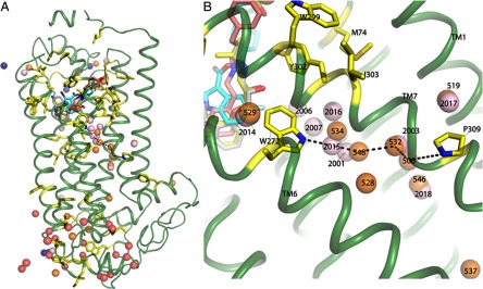 Fig. 6.