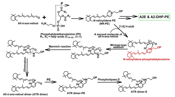 Fig. 6