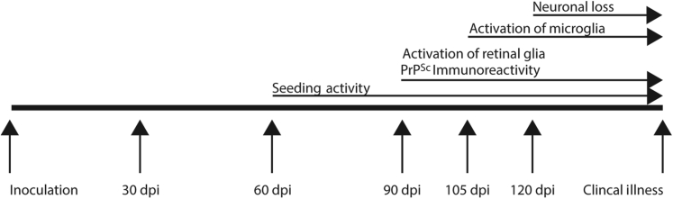 Figure 6