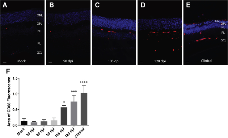 Figure 4