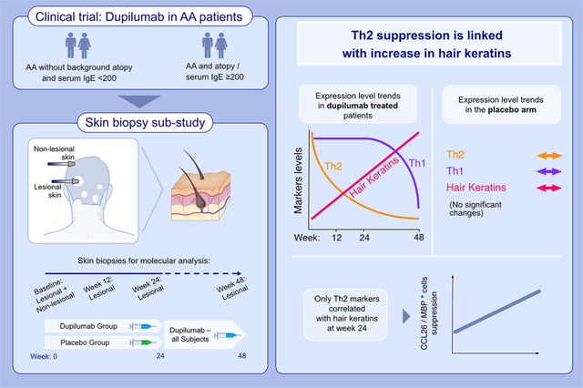 graphic file with name nihms-2013202-f0001.jpg