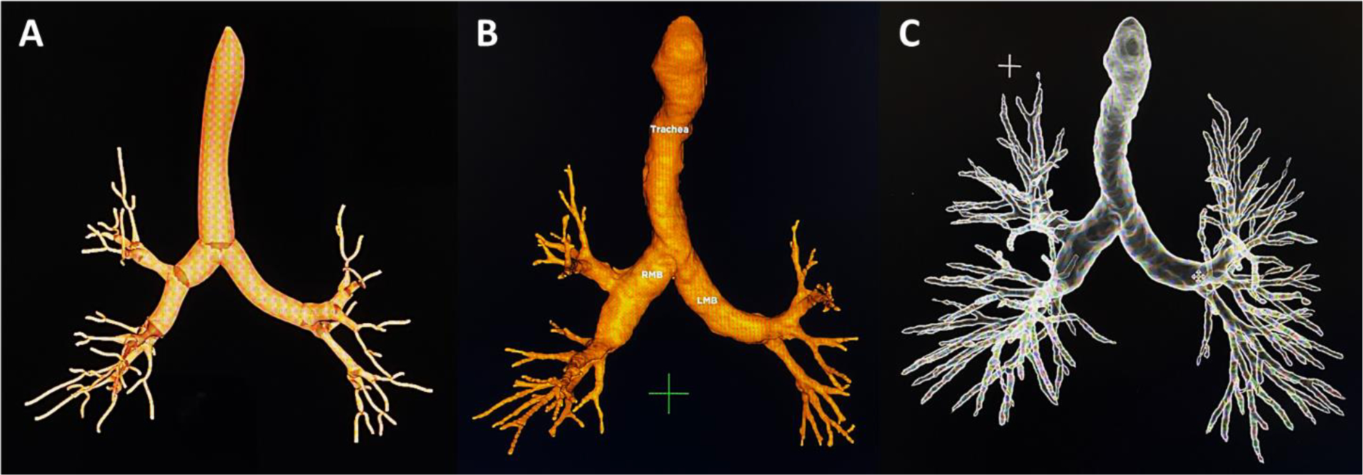 Figure 3.