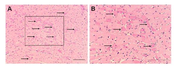 Fig. 8