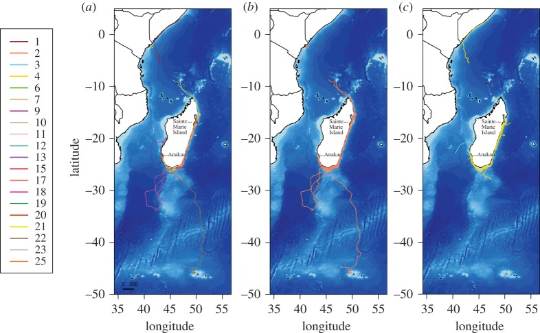 Figure 2.