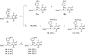 Scheme 4