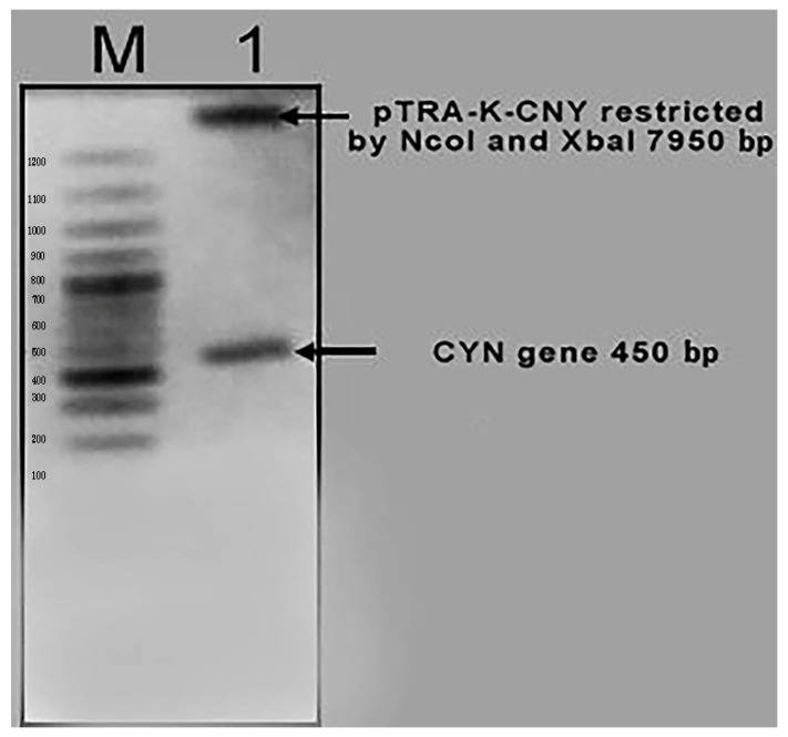 Figure 3