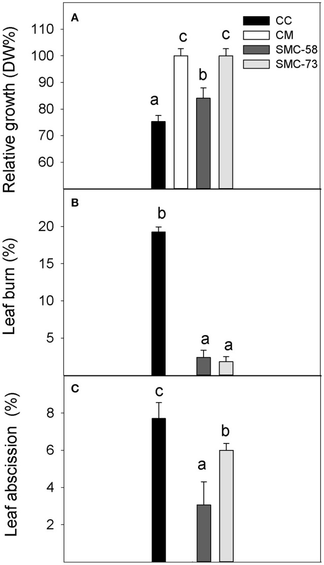 Figure 6