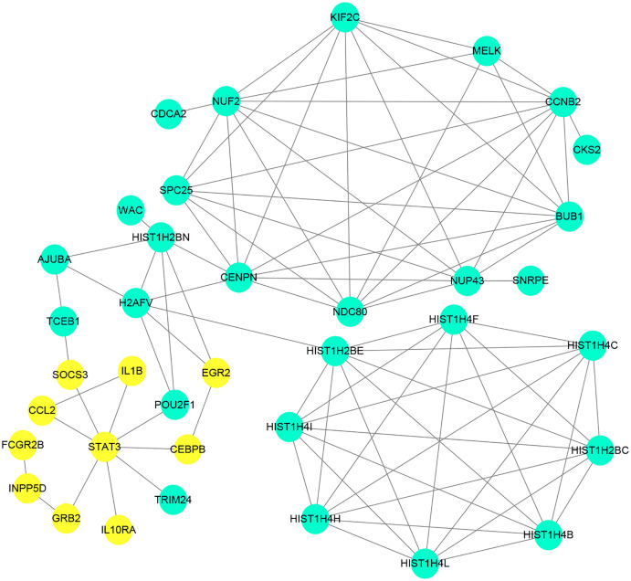 Figure 5