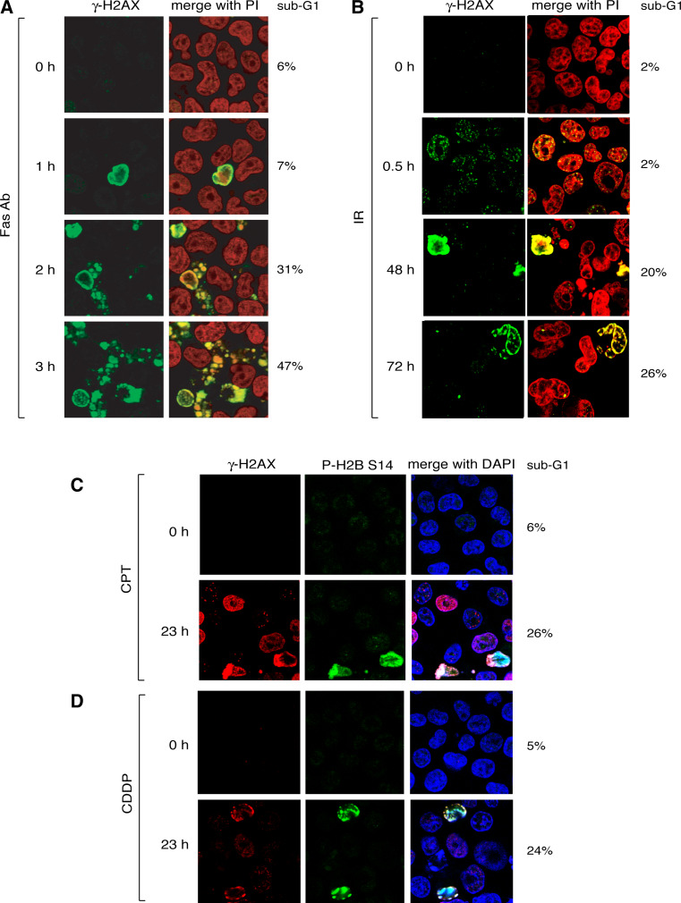 Fig. 3