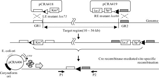 FIG. 3.