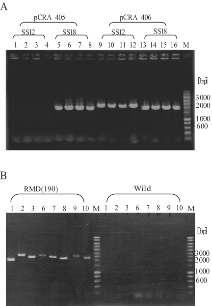 FIG. 5.