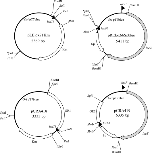 FIG. 1.