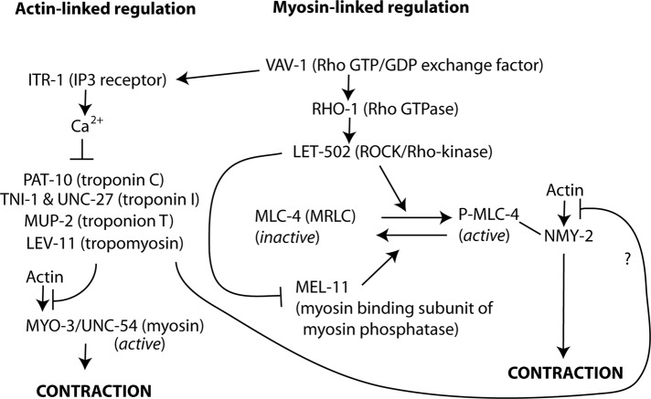 FIGURE 7: