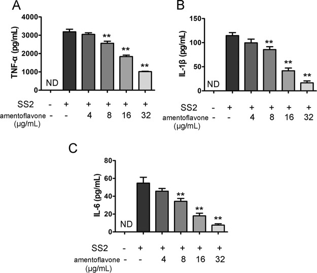 FIG 3