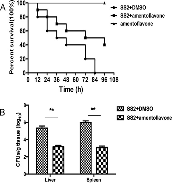 FIG 6