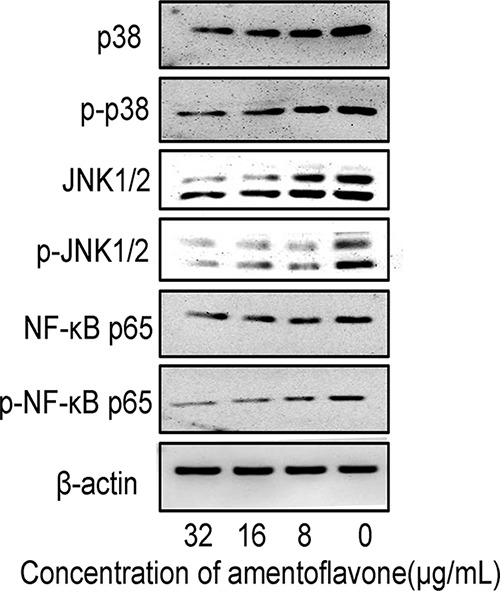 FIG 4