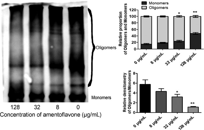 FIG 2