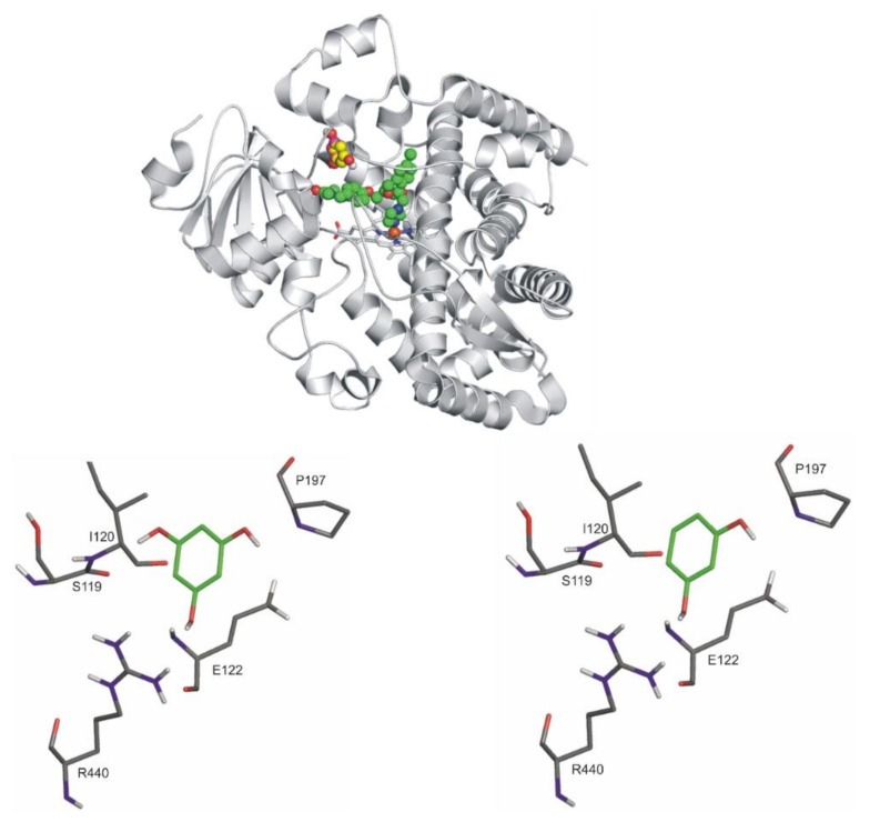 Figure 10