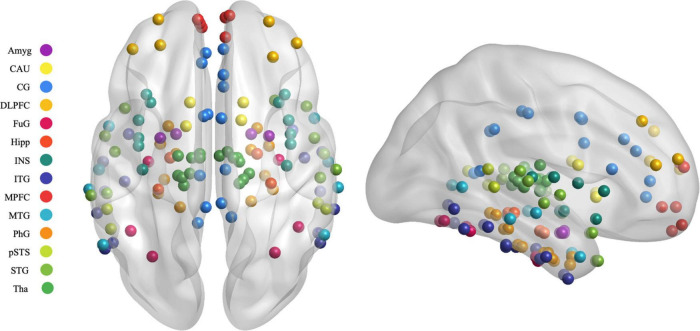 FIGURE 3