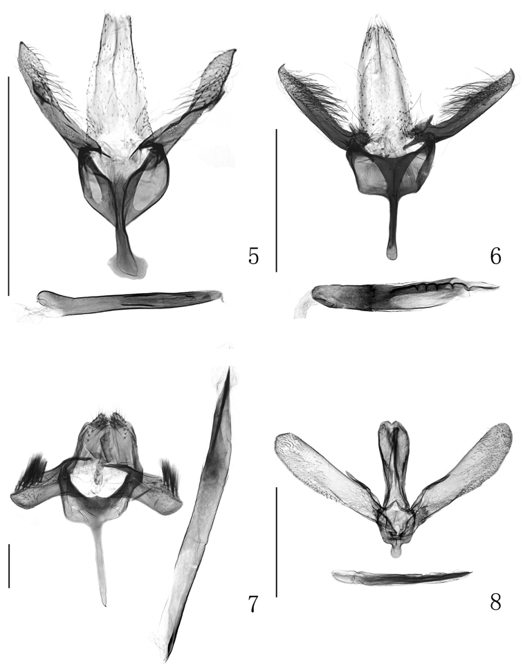 Figures 5–8.