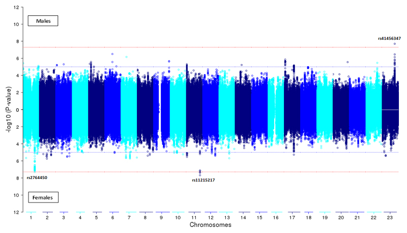 Figure 1