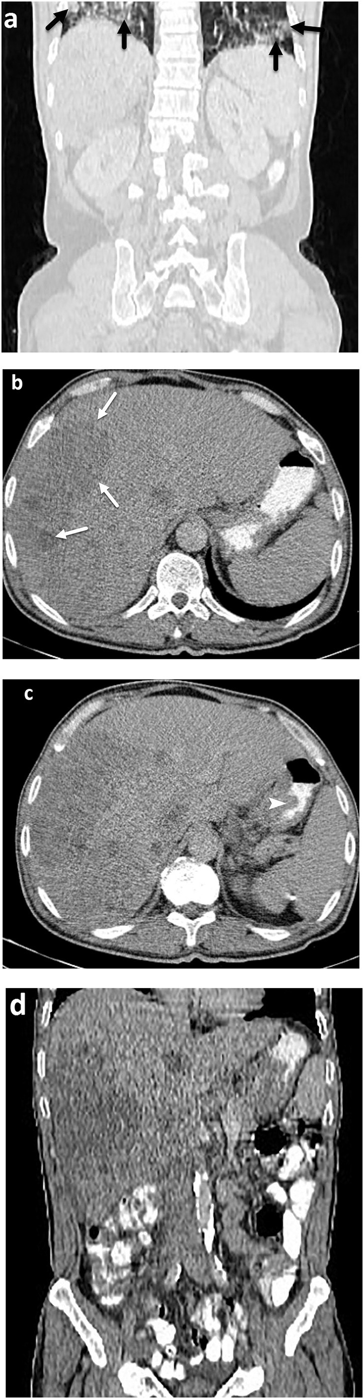 Fig. 8