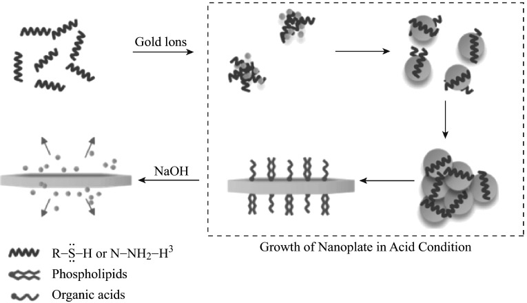 Fig. 8