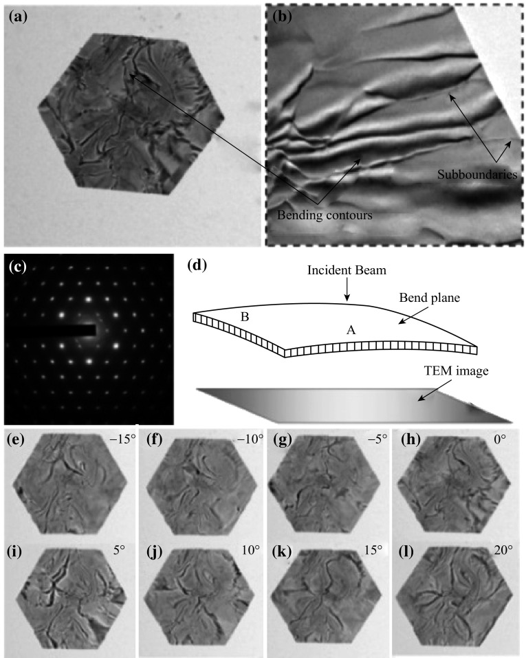 Fig. 3