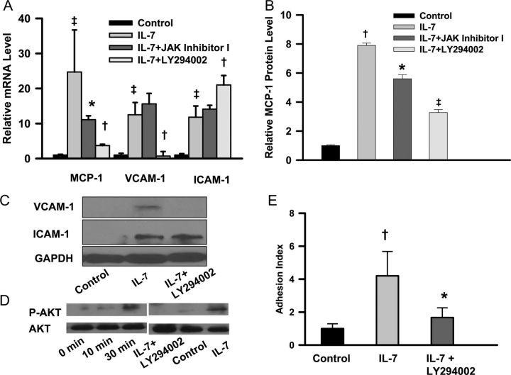 Figure 4