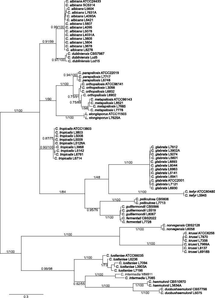 Figure 3