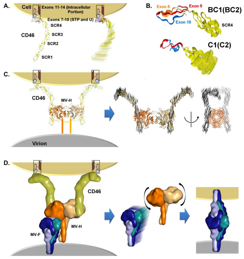 Fig. 4