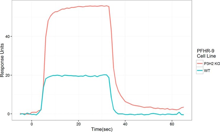 Figure 5.