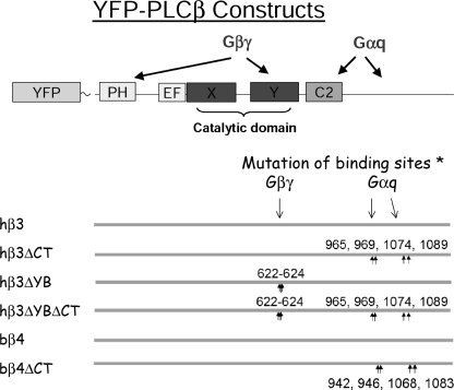 FIGURE 1.