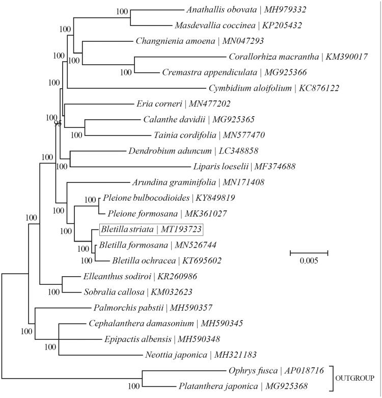 Figure 1.