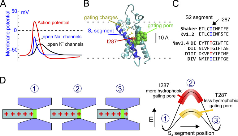 Figure 1.