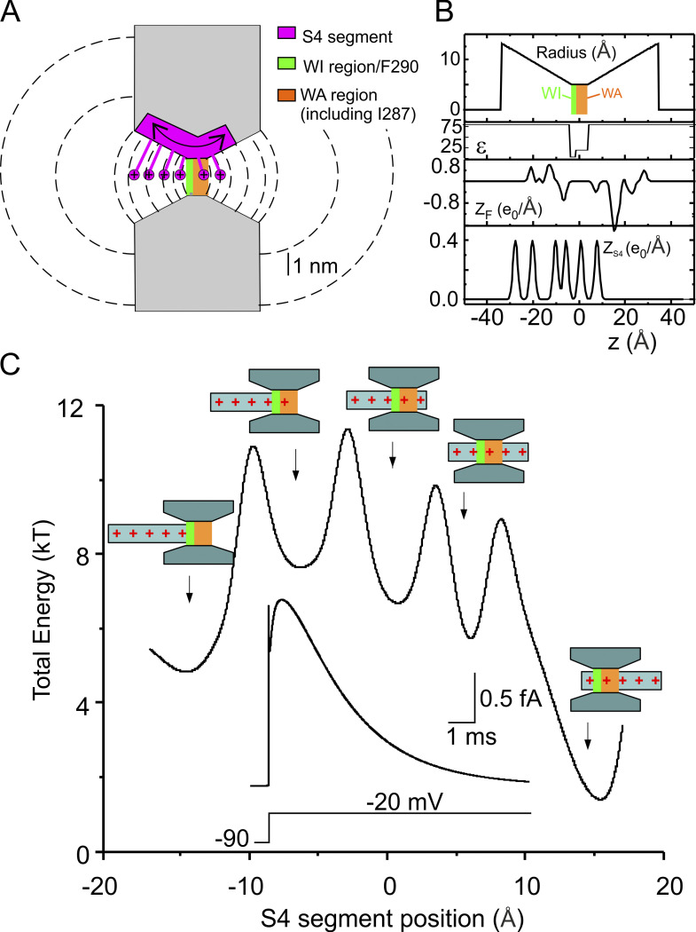 Figure 5.