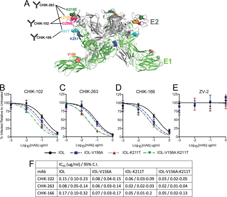 FIG 6